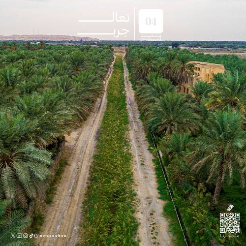 واحة الأحساء 