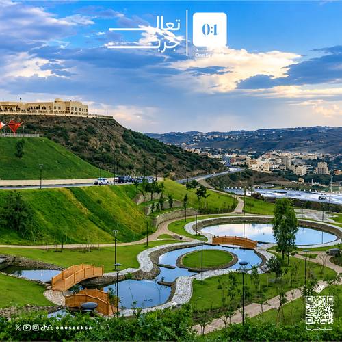 غيم الباحة 