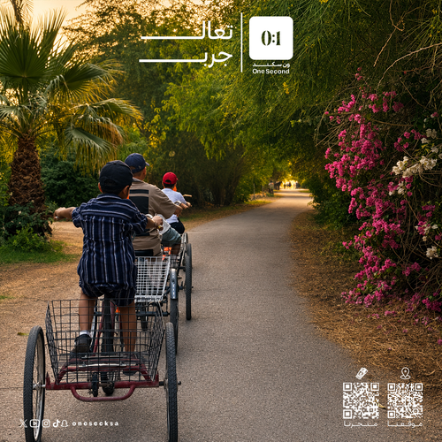 جولة الدراجات الهوائية