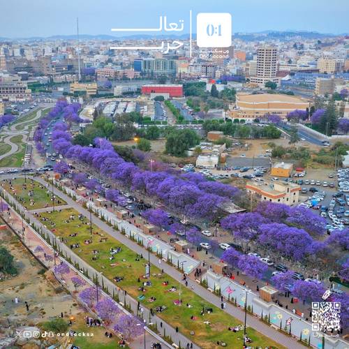 ضباب أبها 