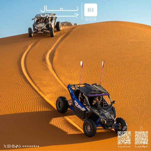 باقة التخييم