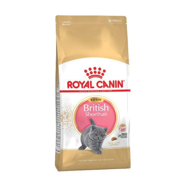 Royal Canin Dry Food British Kitten Short Hair