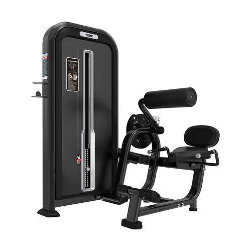 جهاز تمارين اسفل الظهر / BACK EXTENSION-TY11