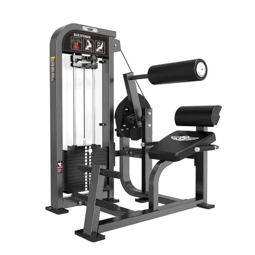 جهاز تمارين اسفل الظهر / BACK EXTENSION-BQ-HS21