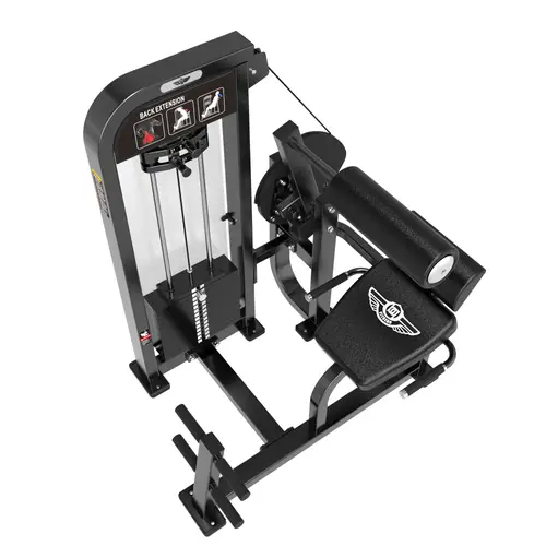 جهاز تمارين اسفل الظهر / BACK EXTENSION-BQ-HS21