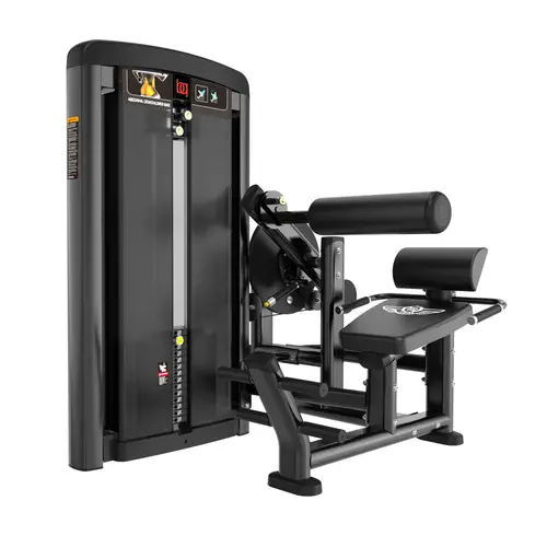 جهاز متعدد لتمارين عضلات البطن وأسفل الظهر / Dual ABDOMINAL CRUNCH / LOW BACK-BQ-BH35