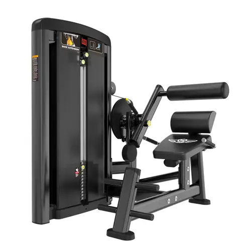 جهاز تمارين اسفل الظهر / BACK EXTENSION-BQ-BH18