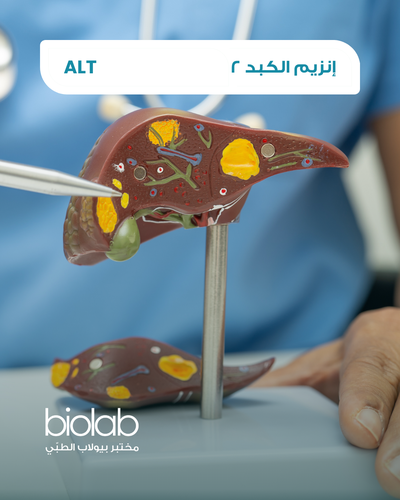 إنزيم الكبد