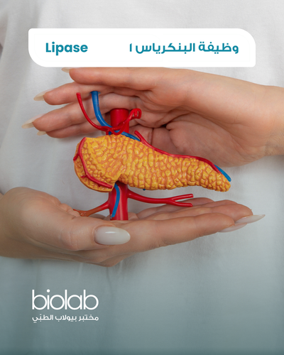 وظيفة البنكرياس 1 (الليباز)