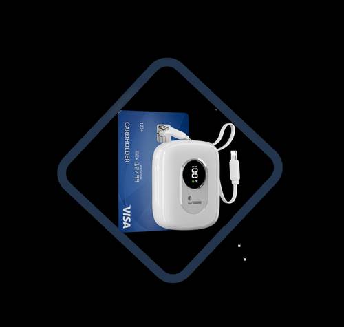 VIPLATINA -  باور بانك  10.000 ملي امبير 22.5 واط كيبيلين تايب سي ولايتنج 