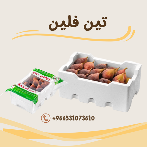 تين فلين البركة