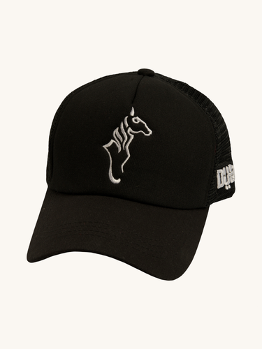F3 Cap 4