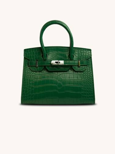 Birkin 20 crocodile
