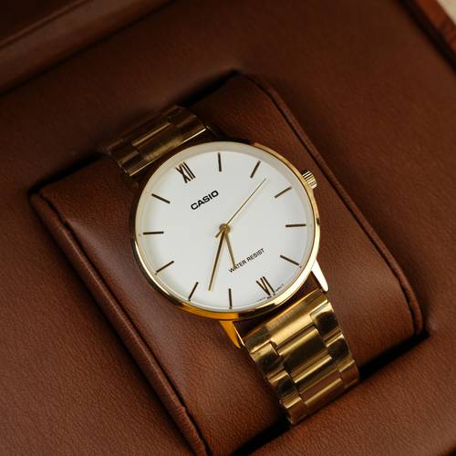 Casio Minimal Classic Watch