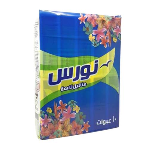 Nours Soft Tissues 10 Packs * 160 Tissues 