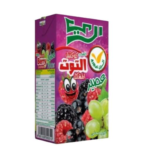 Al Rai Mixed Berries Drink 250 ML