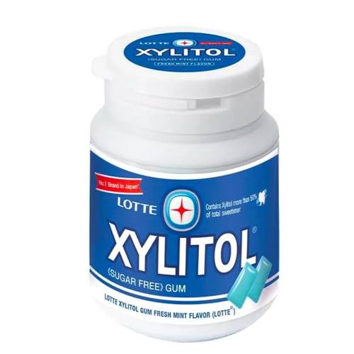 Xylitol Sugar-Free Mint Gum 58 G