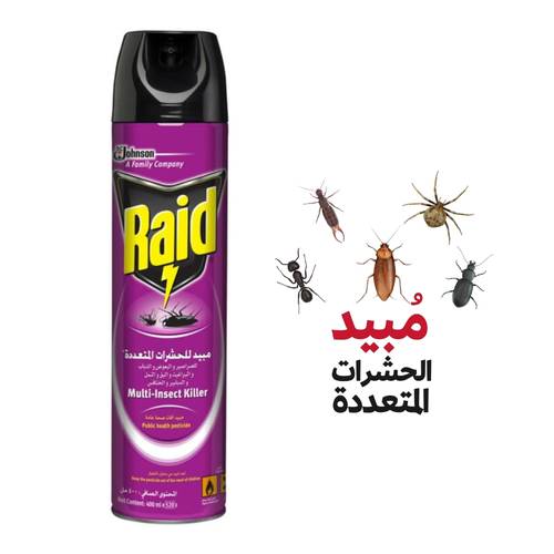 Raid Insecticide Spray Kills All Insects 400 ML