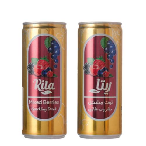 Rita Soft Drink Mixed Berries 240 ML