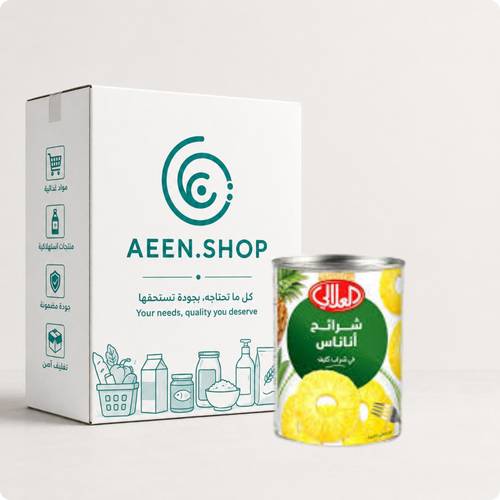 Al Alali Pineapple Slices Large 567g 24 Packs per Carton