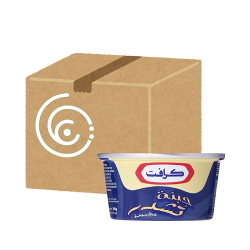 Kraft Cheddar Cheese 100g 60 Packs in Carton
