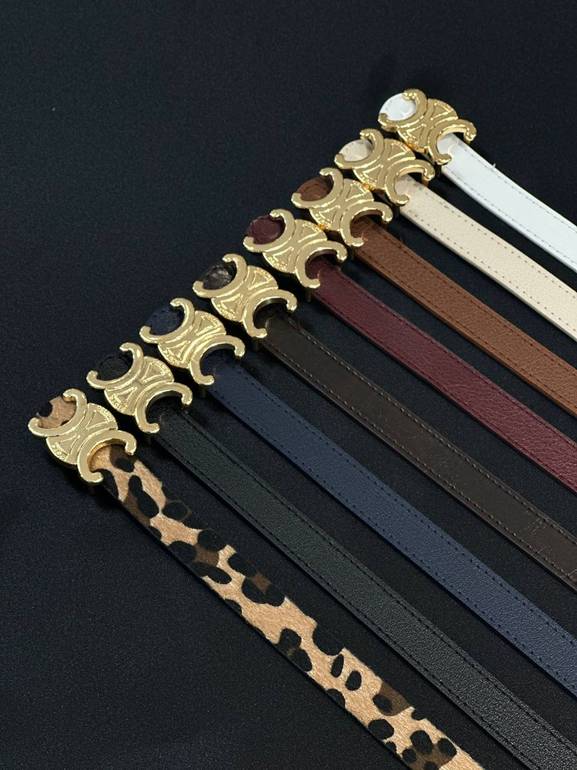 Belt with a Celine Style Buckle