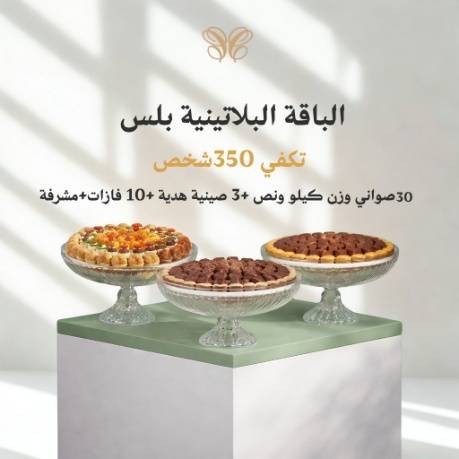 الباقة البلاتينية بلس(33 صينية)