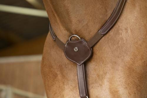 Norton  breastplate