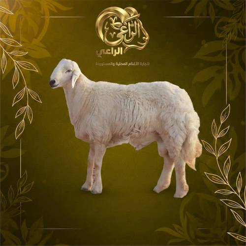 عقد الباقة الذهبية