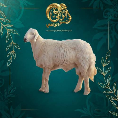 عقد الباقة الماسية 