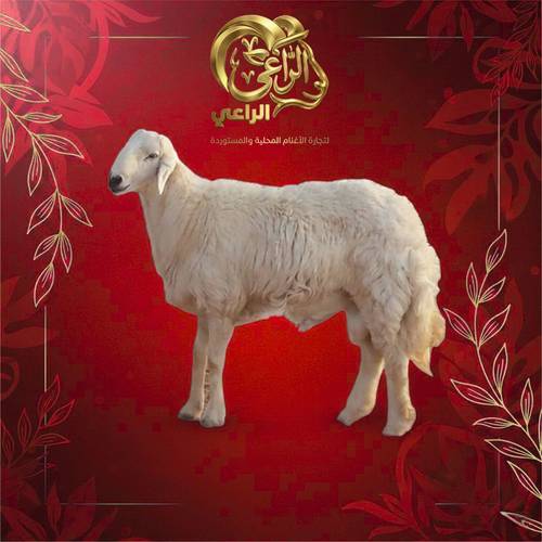 عقد الماسة الحمراء