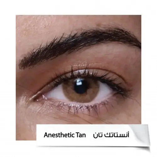 عدسات انستازيا 6 اشهر  A.TAN