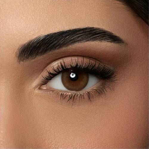عدسات لاصقة ملونة من امارا يومية - ديون