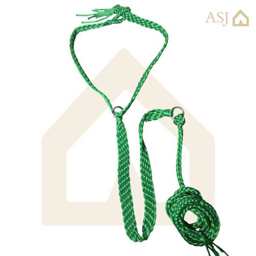 خطام حلقتين