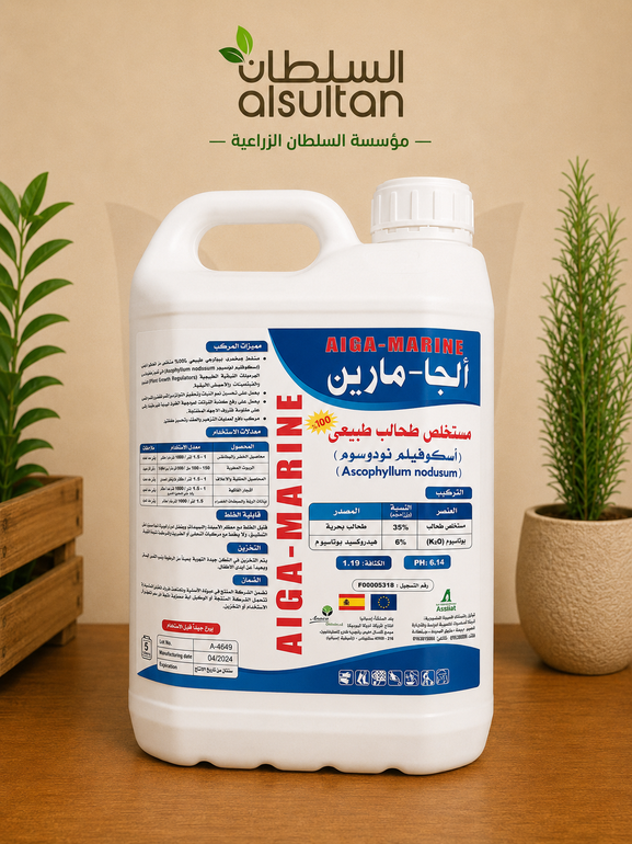 الجا مارين