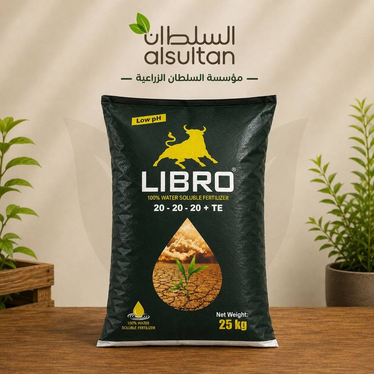 20.20.20 ليبرو