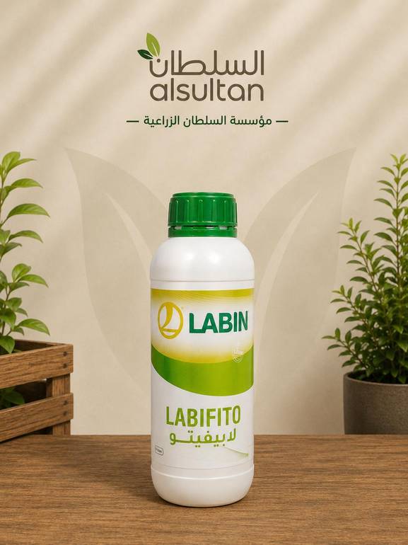 لابيفيتو