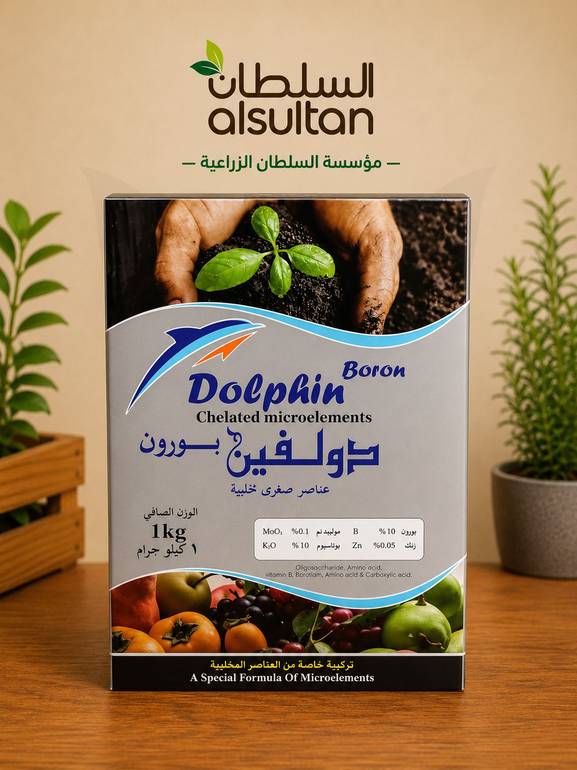 دولفين بورون