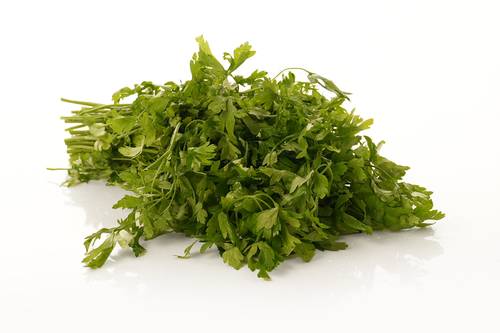 كزبرة طازجة عطرية (ربطة كبيرة)