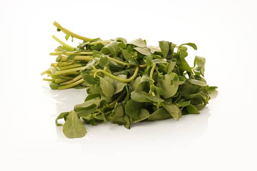 حبق (ريحان) طازج وعطري - ربطة