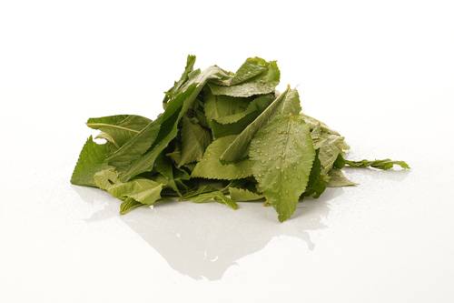 ملوخية طازجة بلدي (حزمة كبيرة)