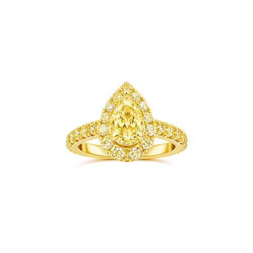The Golden Bloom