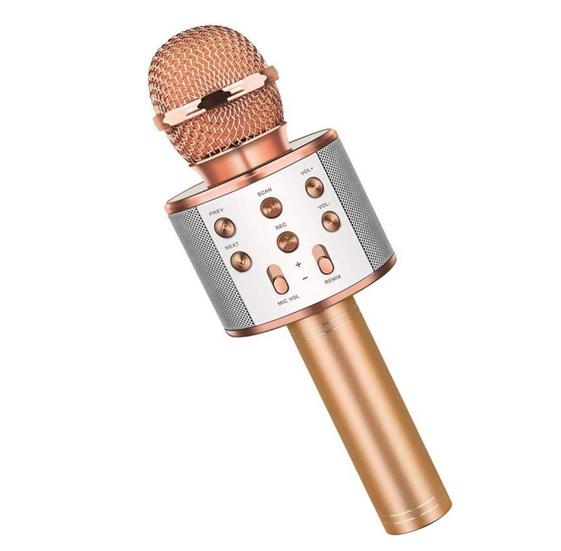 🎤 ميكروفون وسماعة لاسلكية 2 في 1 (Handheld KTV WS-858):