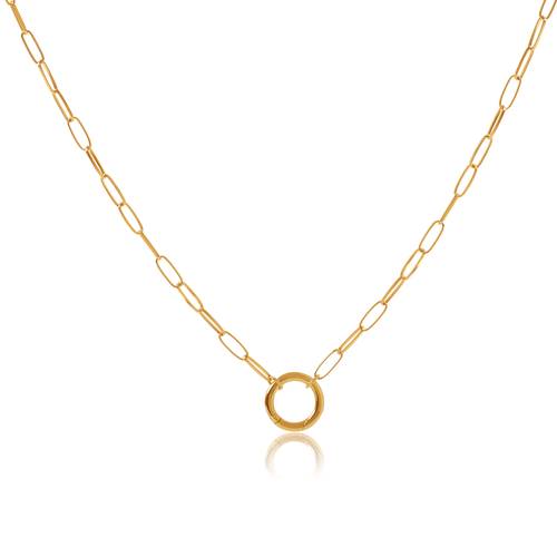 Full paperclip chain