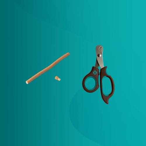 قطاعه لتجديد رأس السواك