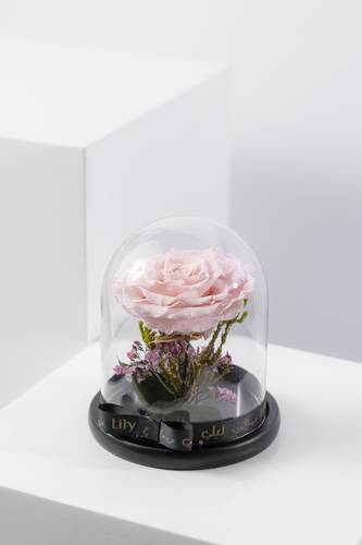Permanent Flower - Pink 