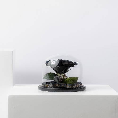  Permanent Flower - Black