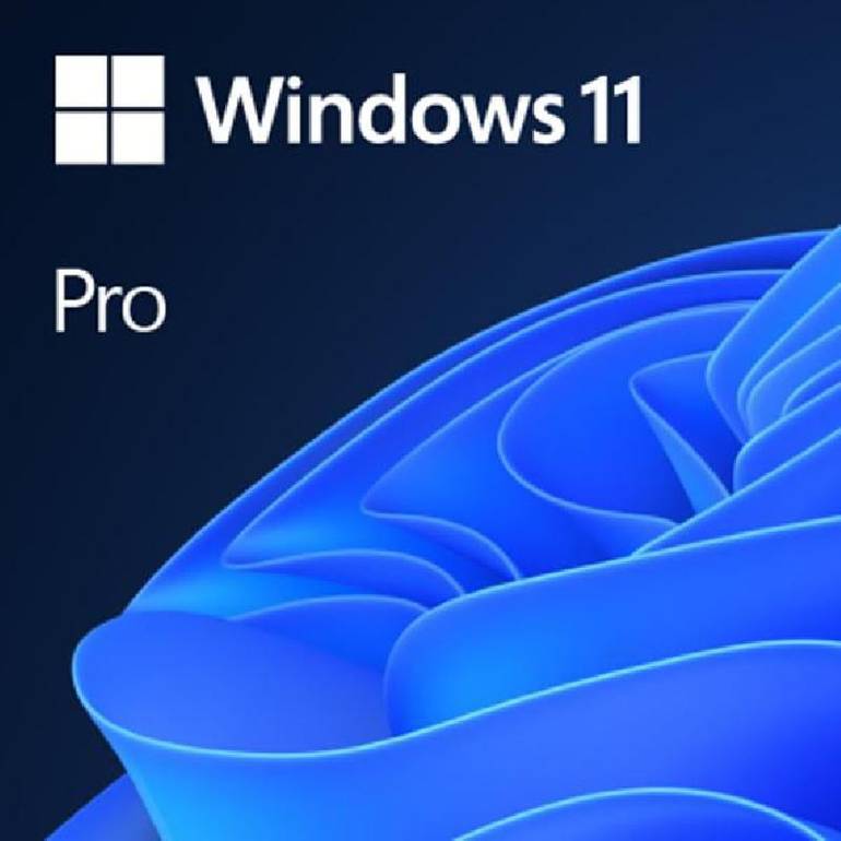 Microsoft Windows 11 Pro Arabic 64Bit 1pk DSP OEI DVD