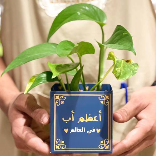 نبتة أعظم أب