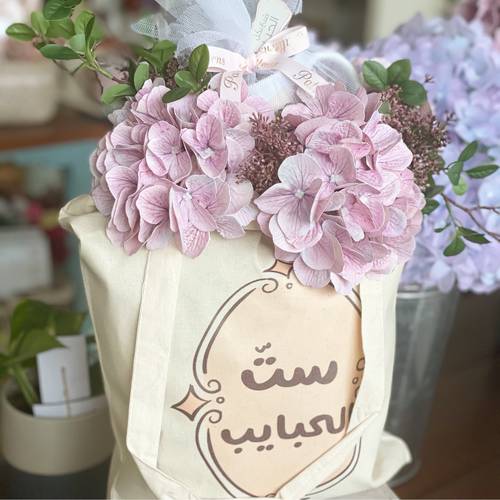 مجموعة ست الحبايب ١